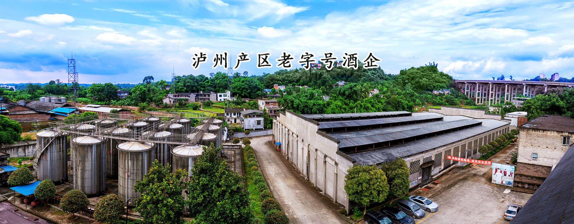 泸州白酒